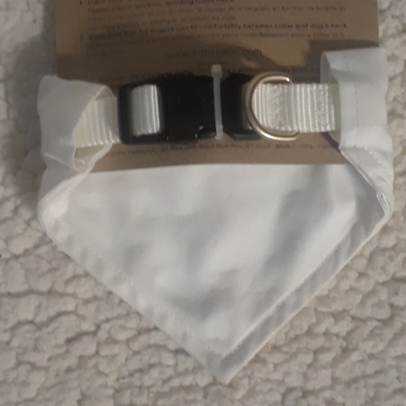 (Dog Collar) Ellen Degeneres Puppy Bandana Collar - Picture 2 of 3